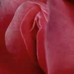 4d58e318c15058399801eb72c8311ff5